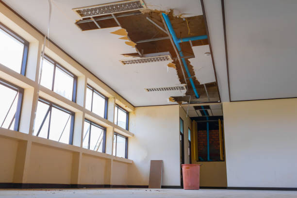 Best Local water damage restoration  in Naples, UT