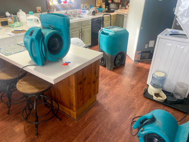 Best Water damage restoration near me  in Naples, UT