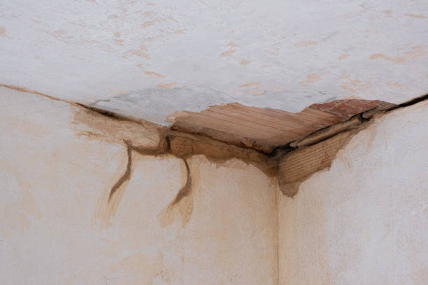 Best Mold removal after water damage  in Naples, UT